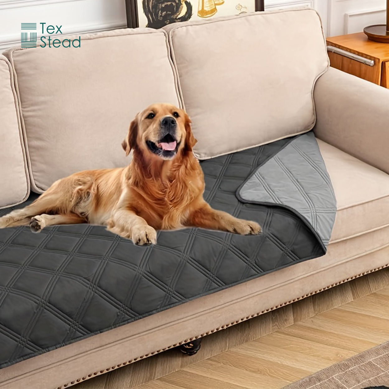 Sarung Kasur Anjing & Selimut  - Mattress Protector Waterproof ulasan dan harga