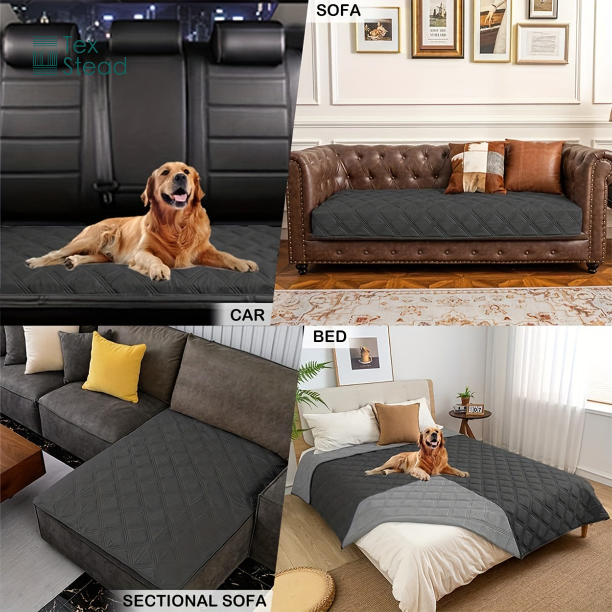 Sarung Kasur Anjing & Selimut  - Mattress Protector Waterproof ulasan dan harga